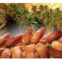 Dallı Hurma Tunus 500 gr.