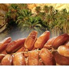 Dallı Hurma Tunus 500 gr.